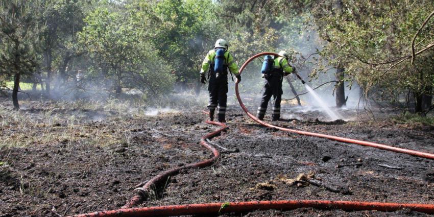 Foto van heidebrand | Archief Tom Louter | www.112brabantnieuws.nl