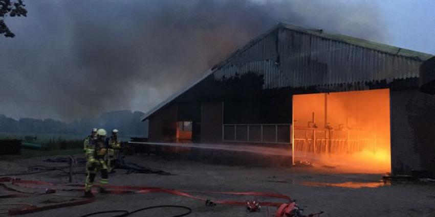 Brand in melkveestal Hardenberg 