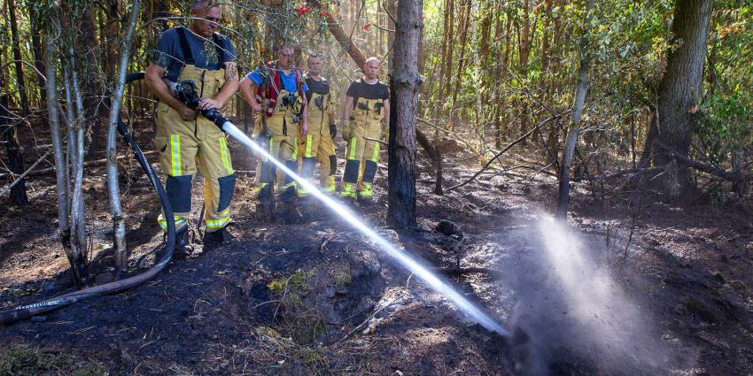 Opnieuw brand in bossen nabij Oude Sonsedijk in Best