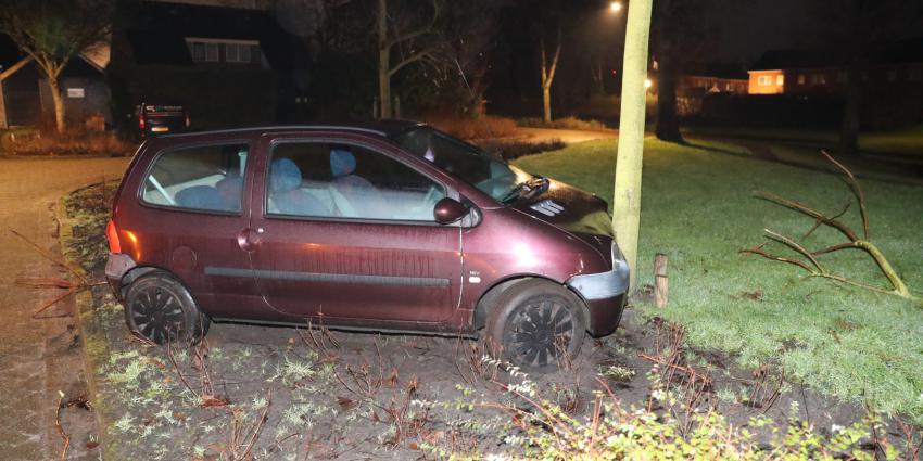 Auto tegen boom