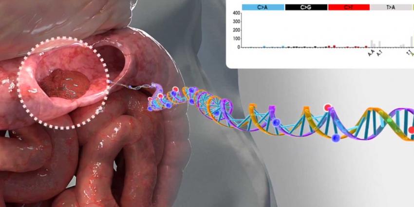 darmen-bacterie-dna