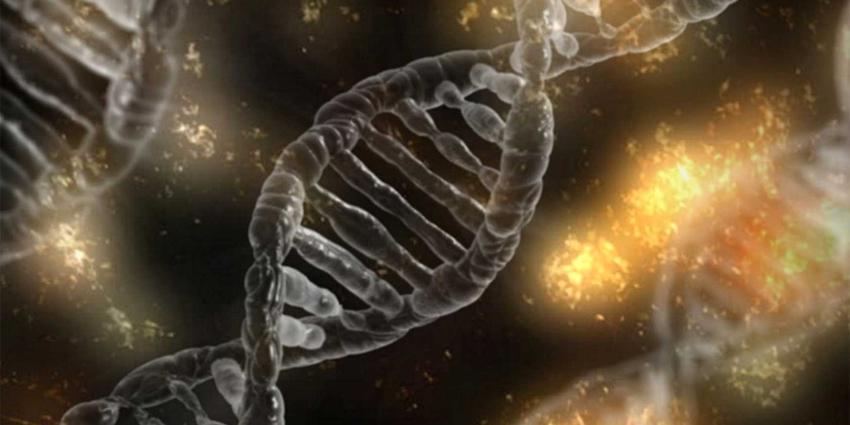 dna-streng