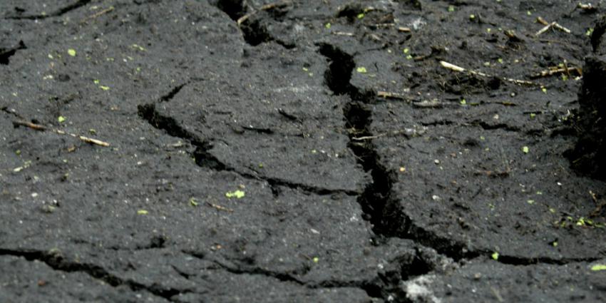 Rode Kruis: Droogte ramp voor Zuidelijk Afrika