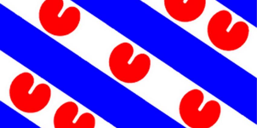 Foto van Friese vlag | BON