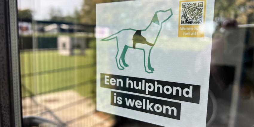 Geleidehond welkom in winkel