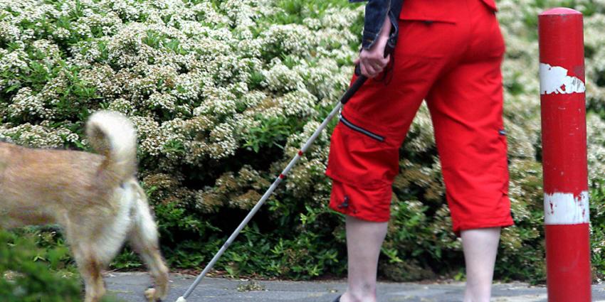 Foto van blinde vrouw met stok en hond | Archief EHF