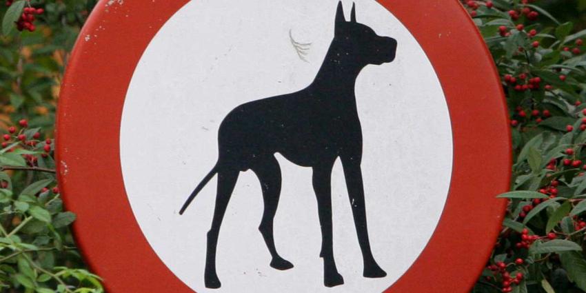 hond-dobermann-verbodsbord