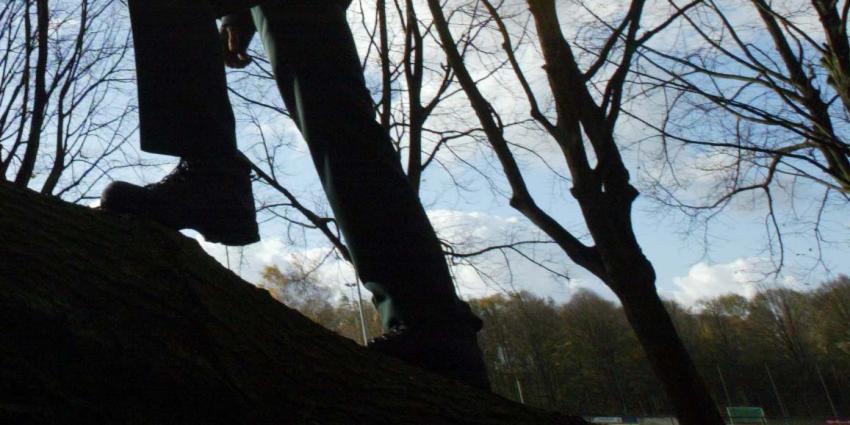 Bomenbeul hakt ruim 100 bomen dood in Amersfoort