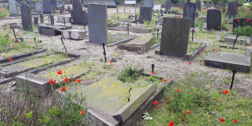 Vernield graf