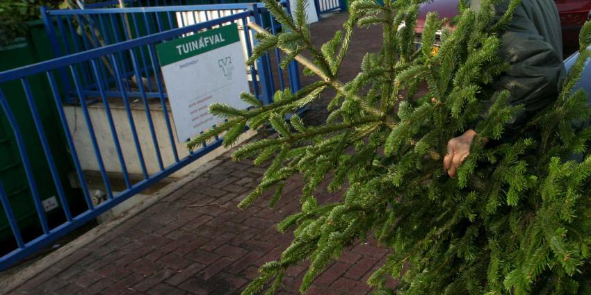 kerstboom-tuinafval