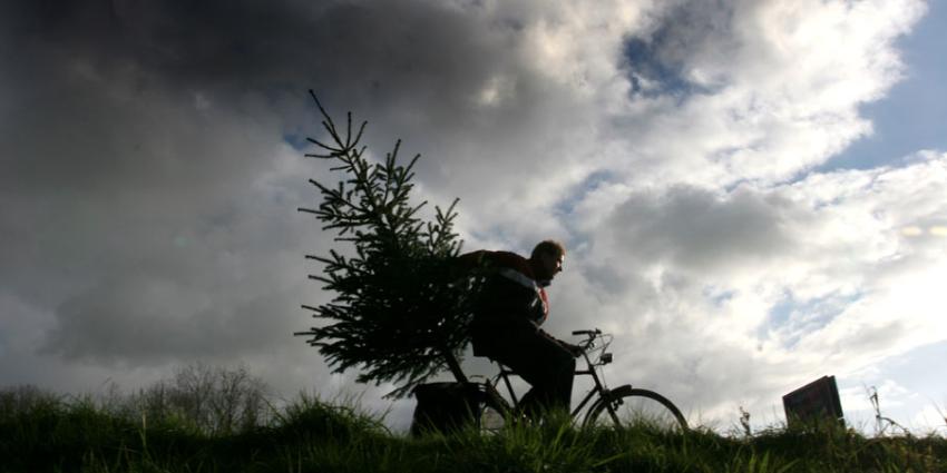 foto van kerstboom | fbf
