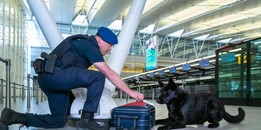Hond ruikt aan koffer