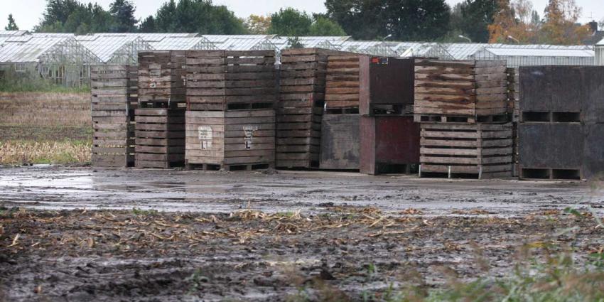 Boeren in door noodweer getroffen zuiden lijden 100 miljoen euro schade