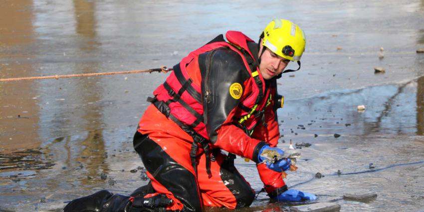 Brandweer redt in visdraad verstrikte meeuw van het ijs