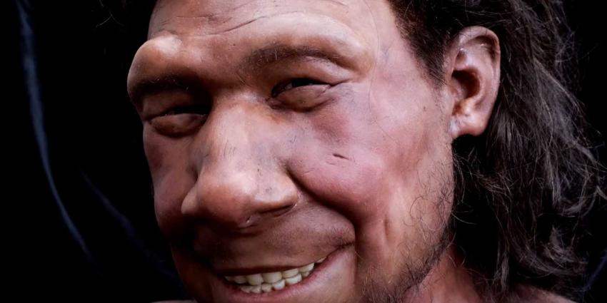 neanderthaler-krijn-reconstructie