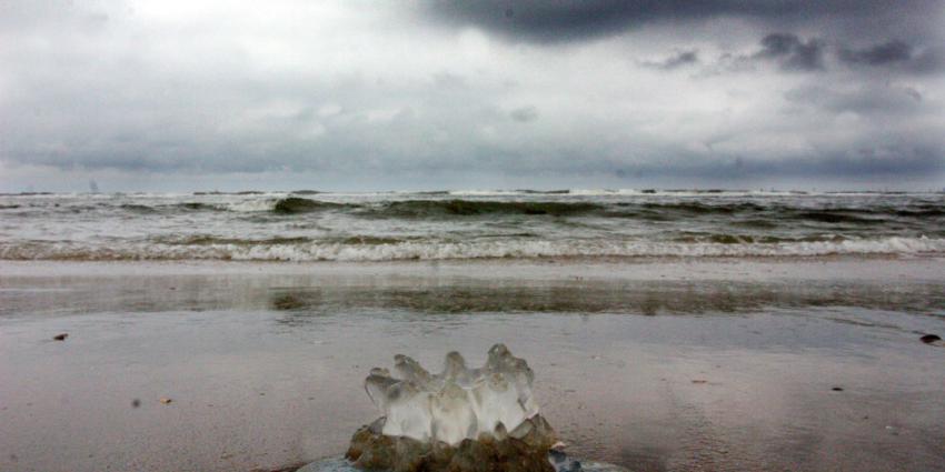 Noordzee moet gezond blijven