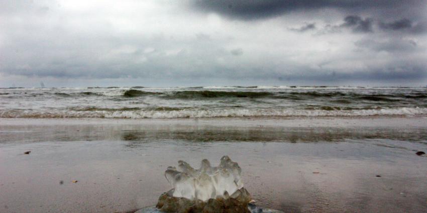 Noordzee