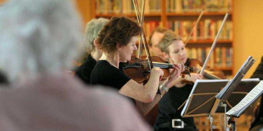 RvC wijst 41 van 118 subsidieaanvragen af, 14 krijgen herkansing