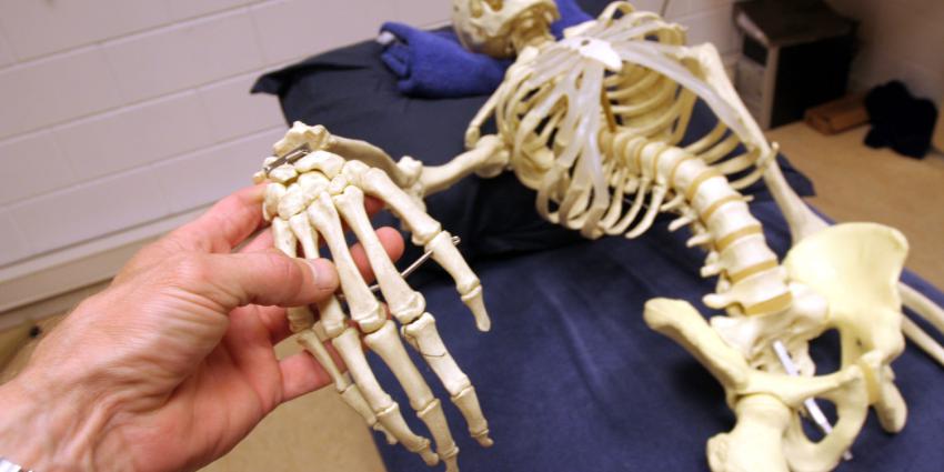 foto van kontfluitpop Johan Vlemmix | Johan Vlemmix