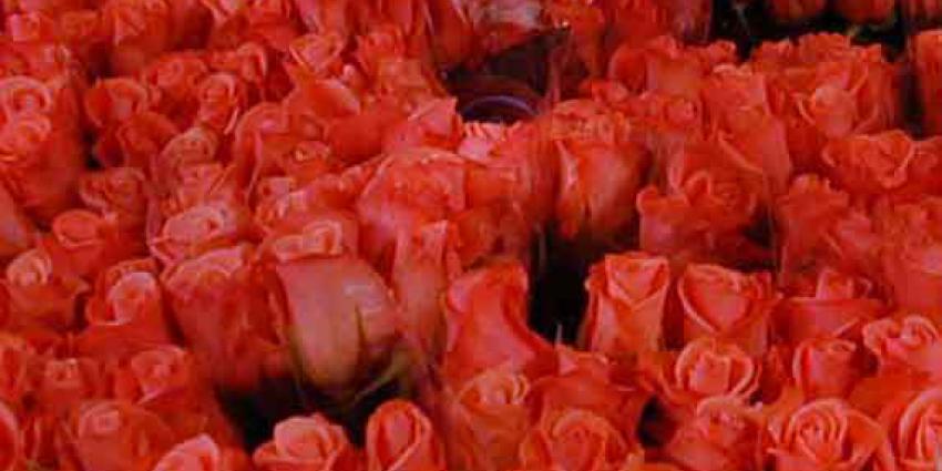 Geen hartendief, maar rozendief