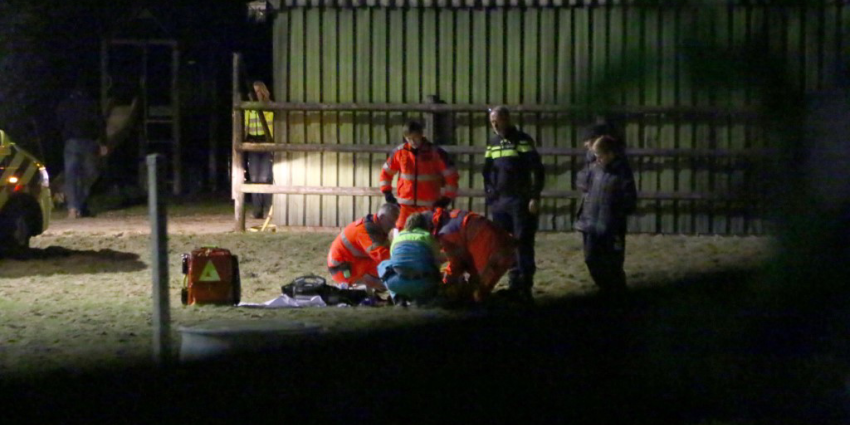 Ruiter zwaargewond na trappen van paard