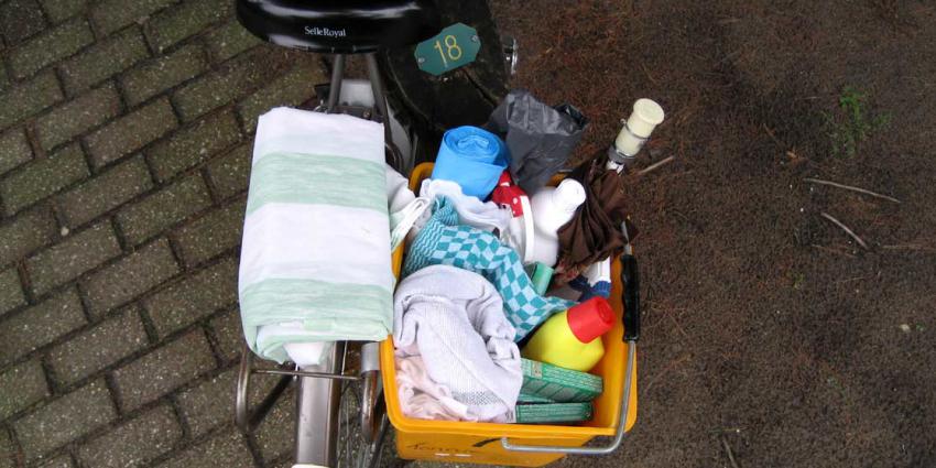 schoonmaak