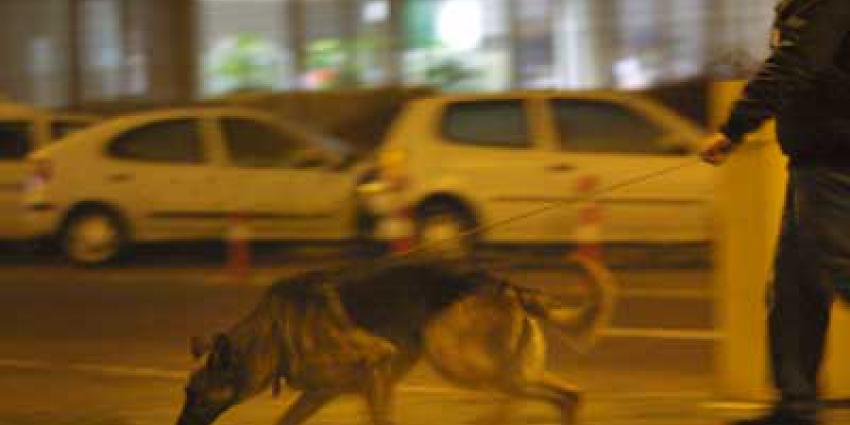 Speurhond vindt weggegooide vuurwapens, verdachte aangehouden