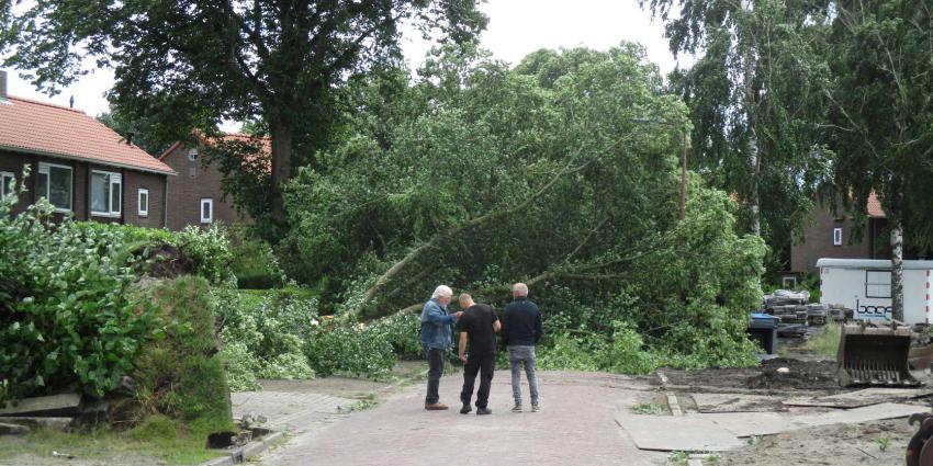 stormschade-Poly