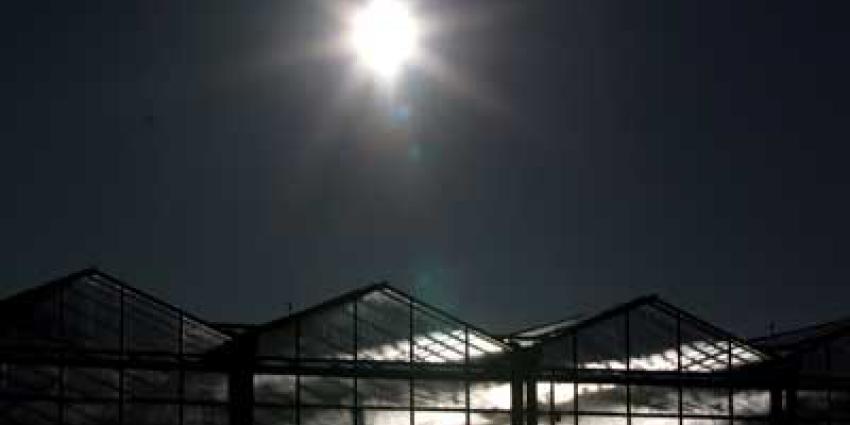 Sancties Rusland treft ook Nederlandse tuinders