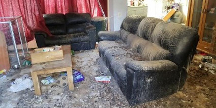 Elf honden en drie valkparkieten in beslag genomen vanwege ernstige verwaarlozing