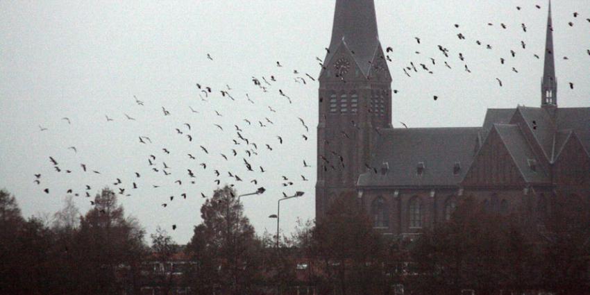 Nieuwe maatregelen tegen vogelgriep 