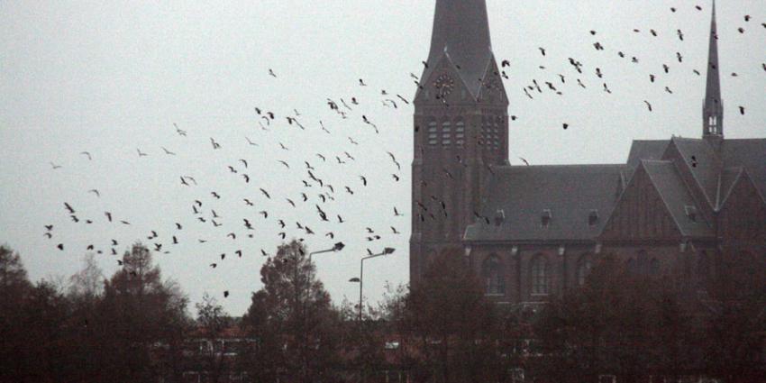 'Klimaatverandering: in april leggen alle vogels een ei?'