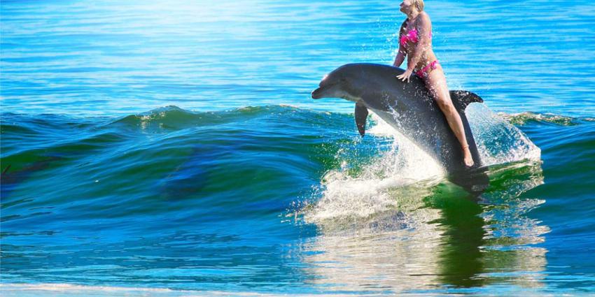 vrouw-dolfijn