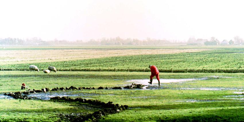 waterschade-boer