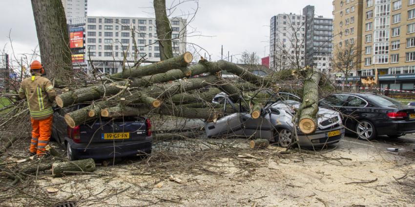 Boom valt door harde wind op geparkeerde auto's