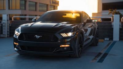 ford-mustang-parkeerdak-zon