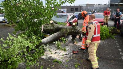 boom-storm-auto-vliegveld- Eelde