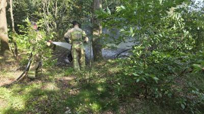 brandweermannen-blussen-bosbrand