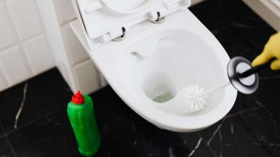 toilet-borstel-reinigen