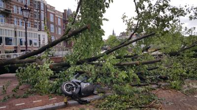 Foto van stormschade