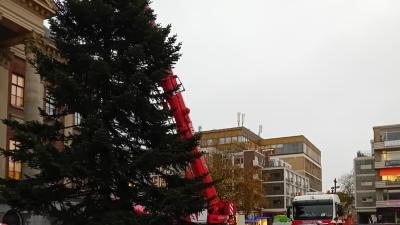 Plaatsen van kerstboom op Grote Markt