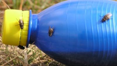 Rotterdam start met gescheiden inzameling plastic verpakkingsafval