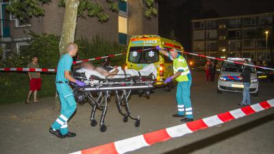 Politie schiet verdachte van steekpartij neer