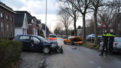 Automobilist richt ravage aan in Wildervank