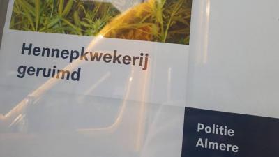 Hennepplantage geruimd in Almere