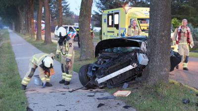 Auto frontaal tegen boom