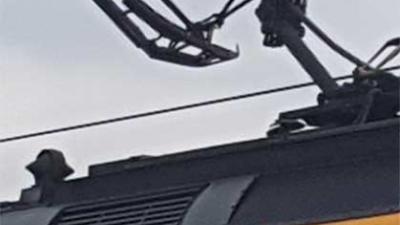 tussen Meppel en Zwolle