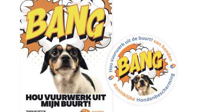 Raamposter en sticker