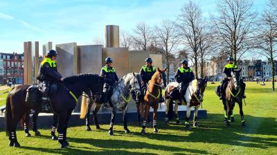 Politiepaarden op Museumplein