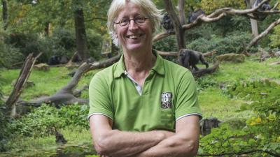 Gorillaverzorger Frans Keizer na 40 jaar Apenheul met pensioen